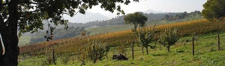 vini campani Sogno un bagno di natura