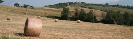 Agriturismo in campania Agriturismo in campania