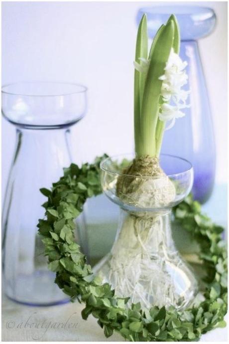 blu antichi vasi per giacinti: Shabby Chic on Friday