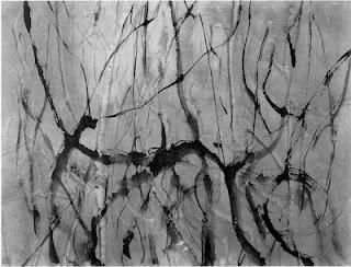 Precoce sera Precoce sera