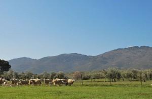 Castilla La Mancha: quando la natura domina!