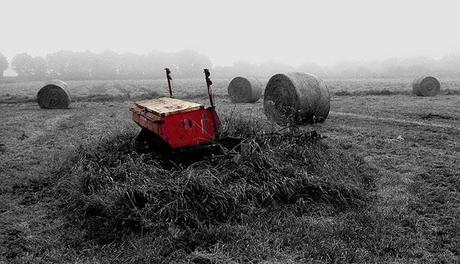 fotografie bianco e nero effetti cromatici selettivi