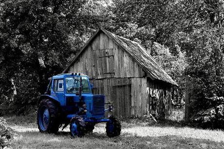 fotografie bianco e nero effetti cromatici selettivi