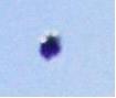 ufo-avvistamento-lombardia.jpg