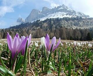 Il passo di Costalunga (1753m) (Alto Adige, Val d'Ega / Val di Fassa)