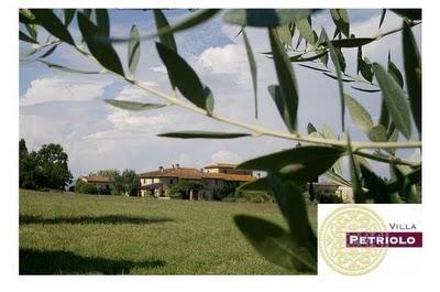Dove all'ulivo si abbraccia la vite.....Olive oil tour and tasting a Villa Petriolo