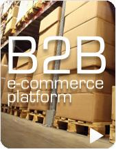E-Commerce B2B in Italia b2b-ecommerce-consulente.jpg