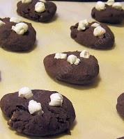 I Cookies al cioccolato con plagio tonto....