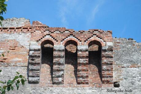 Giornata del Patrimonio  Archeologico della Valle di Susa.