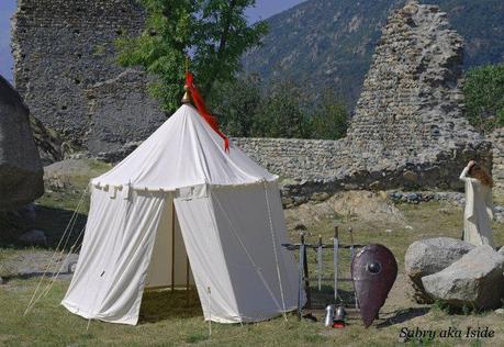Giornata del Patrimonio  Archeologico della Valle di Susa.