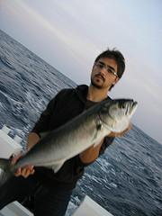 Il pesce serra Il pesce serra