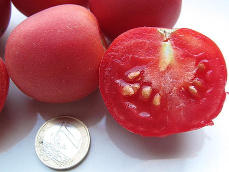 Varietà rare: il pomodoro 