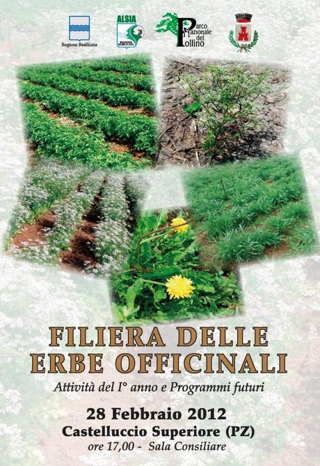 Pagine da Locandina Piante Officinali A Castelluccio Superiore iniziativa dell’Alsia