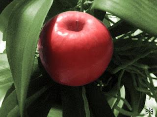 Il Paradiso a Siamo in Onda Il Paradiso a Siamo in Onda