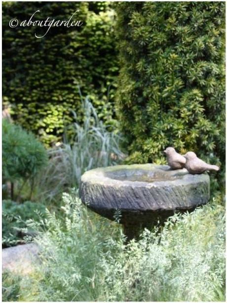 abbeveratoio chelsea bird in the garden…Shabby Chic on Friday