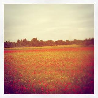 Instagram Instagram