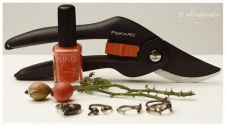 Vanity in the Garden vanity in the garden…Cesoie FISKARS