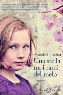 Una stella tra i rami del melo di Annabel Pitcher: Mi chiamo Jamie e non sono invisibile