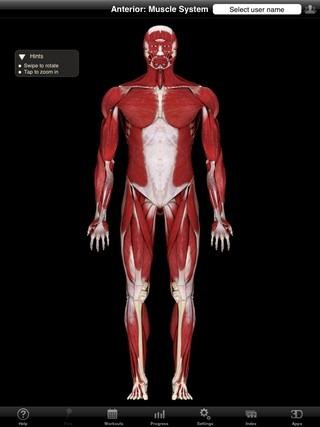 iMuscle Nova: Personal Fitness Trainer in 3D per iPhone e iPad iMuscle Nova Home iMuscle Nova: Personal Fitness Trainer in 3D per iPhone e iPad