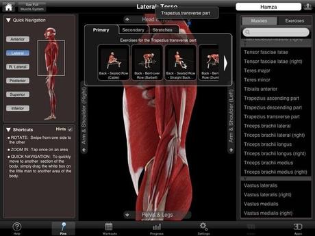 iMuscle Nova: Personal Fitness Trainer in 3D per iPhone e iPad iMuscle Nova Pins iMuscle Nova: Personal Fitness Trainer in 3D per iPhone e iPad