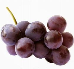 Santa-Margherita-di-Belice Santa-Margherita-di-Belice