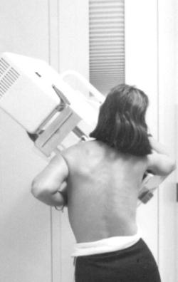 mammografia: si grazie !