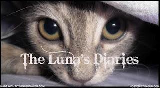 The Luna's Diaries: l'incontro