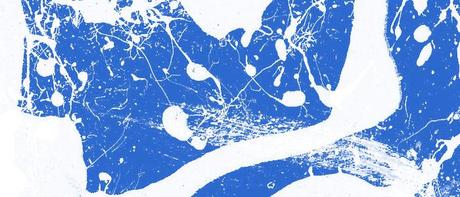 Davidou screenshot Collezione di pennelli Photoshop: Sgocciolature