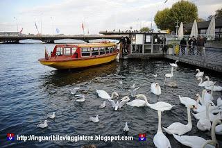  Un inguaribile viaggiatore a Ginevra - crociera sul Lago di Leman