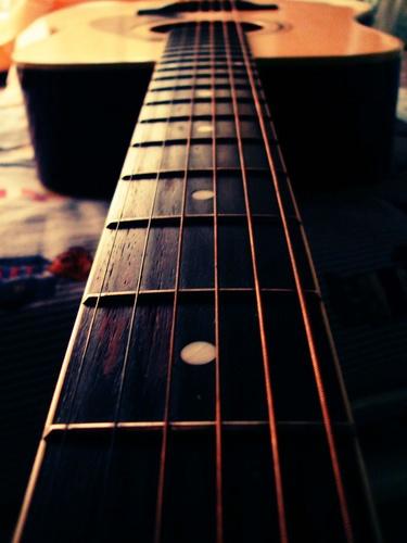 D.flies di Diletta Fabiani D.flies di Diletta Fabiani