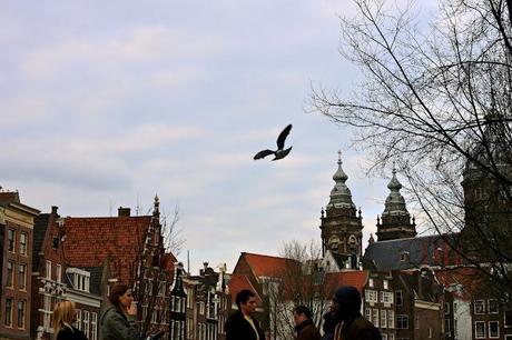 Amsterdam: reflections on (flight and hotel)