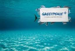 Greenpeace pesca Mareblu, entro il 2016 il tonno sostenibile