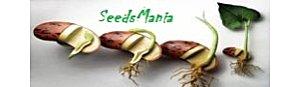 semi seedsmania