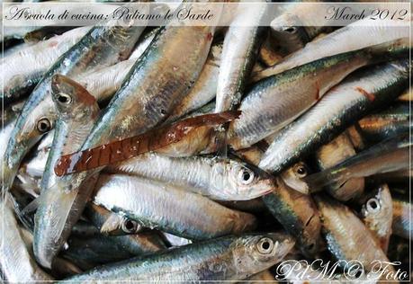 A scuola di cucina: puliamo le sarde (foto tutorial) A scuola di cucina: puliamo le sarde (foto tutorial)
