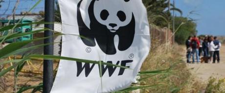 Vuoi essere una sentinella per l’ambiente? Il WWF ti sta cercando!
