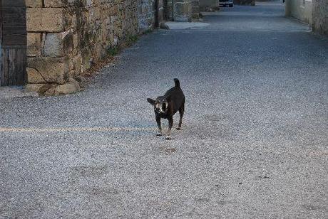 Alcune immagini da Costabona