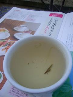 Tè giallo o Tè verde? A voi la scelta