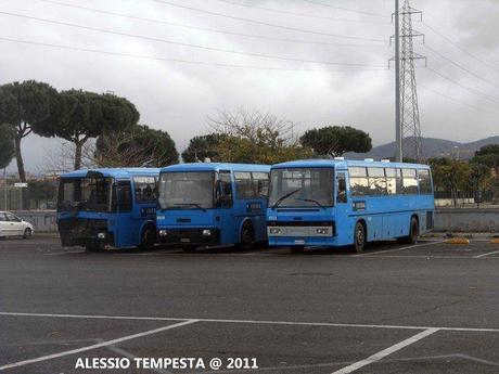 Velletri - In tre per il TPL