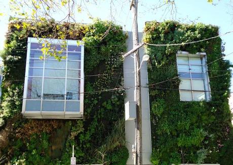 Un giardino verticale a San Francisco/2