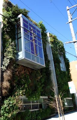 Un giardino verticale a San Francisco/2