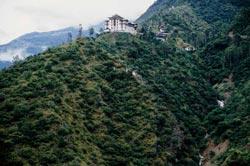 In fiamme le forete del Bhutan