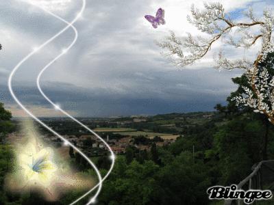 NUOVA VITA NUOVA VITA