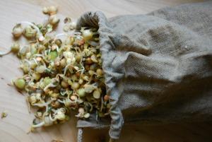 Hemp-Sprout-Bag-3_picnik IL SACCHETTO GERMOGLIATORE