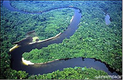 L'Amazzonia è l'ecosistema più ricco di biodiversità al mondo.