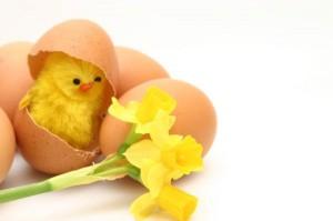 10 Progetti Fai da Te per Pasqua – Riuso & Cucito Creativo, Amigurumi, Ghirlande e La Pianta delle Uova 3/3