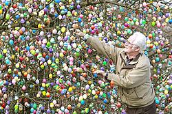 albero delle uova decorato per pasqua in germania