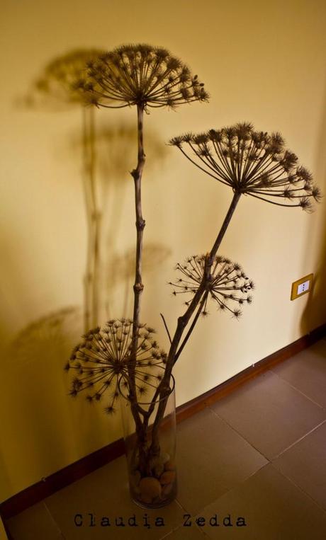 Per la casa: fiori di Sardegna