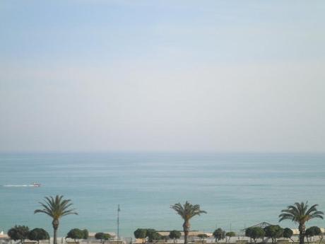 welcome spring! welcome spring!