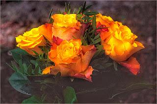 DENTRO IL CUORE DENTRO IL CUORE