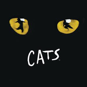 Cats 22 marzo: Andrew le azzecca tutte!